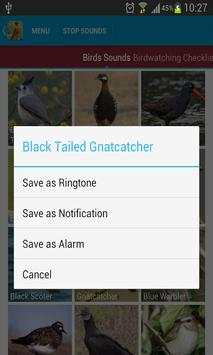 American Crow Bird Sound screenshot 4