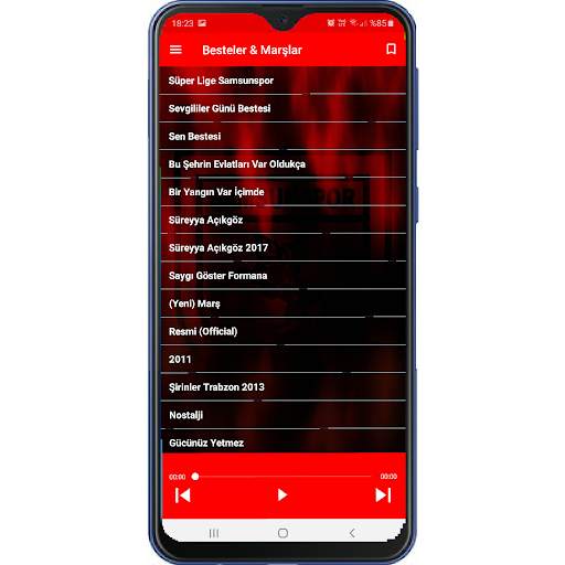 Samsunspor Mobil screenshot 4
