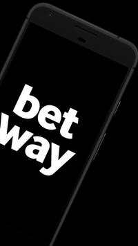 Bestway screenshot 2
