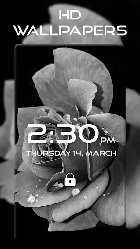 HD Wallpapers screenshot 1