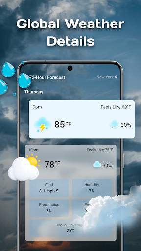 Daily Weather-Forecast screenshot 2