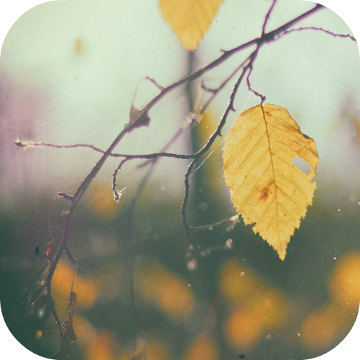 Vintage Wallpapers आइकन