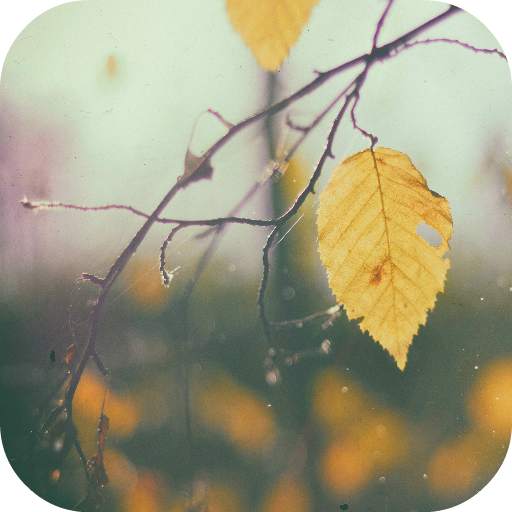 Vintage Wallpapers 3.0.1