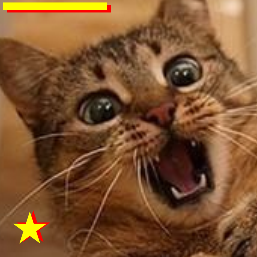Cat Sounds icon