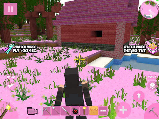 Candy Craft screenshot 9