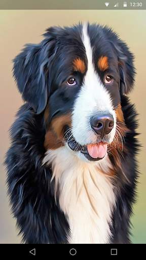 Cute Dogs Live Wallpaper screenshot 3