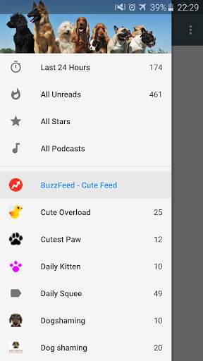 Cute funny puppy & cat photos screenshot 7