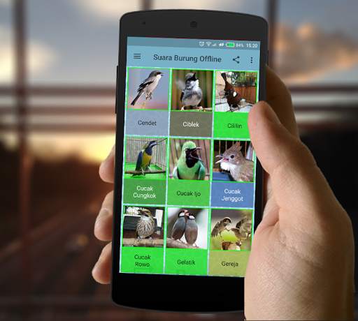 Koleksi Suara Burung Offline Lengkap screenshot 2
