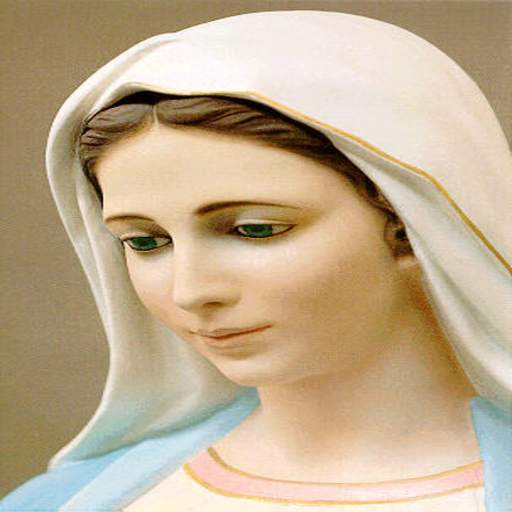 Virgin Mary Wallpaper 2.5