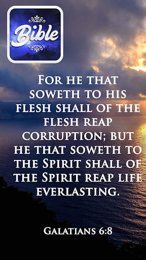 KJV Bible offline in english screenshot 8