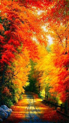 Autumn Wallpaper screenshot 5