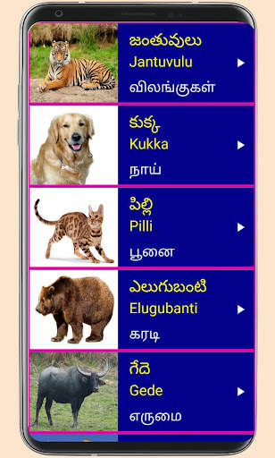 Learn Telugu From Tamil screenshot 5