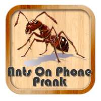 Ants On Phone Prank on 9Apps