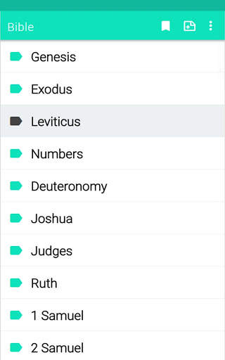 Revised Standard Version Catholic Edition screenshot 19