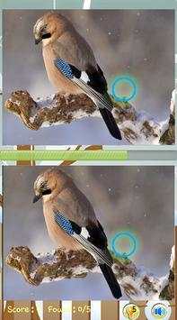 Find Difference Bird Games screenshot 3