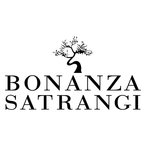 Loyalty App icon