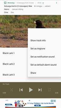 Black Lark Bird Sounds HQ screenshot 1