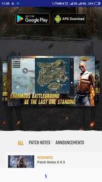 PUBG info screenshot 2