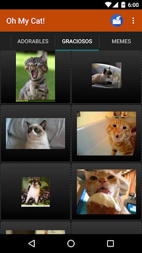 Gatos Fondos y fotos graciosas screenshot 4