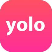 Yolo 1.3