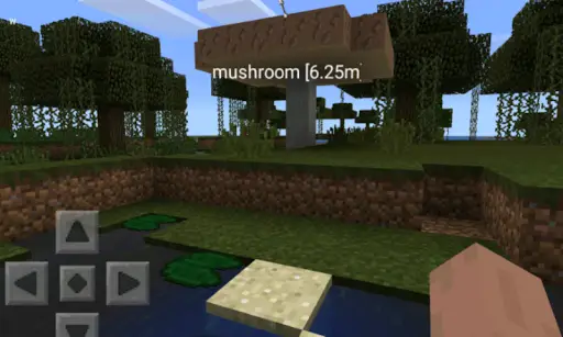 Titik arah untuk Minecraft PE screenshot 2