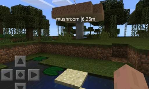 Waypoints para Minecraft PE screenshot 2