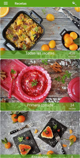 Recetas de carne de cerdo screenshot 1