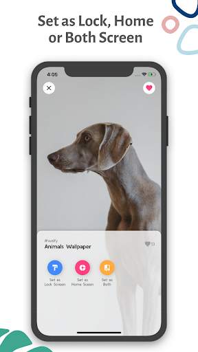 Walfy - Wallpaper App screenshot 6