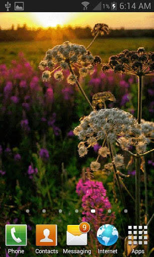 Evening Flowers Live Wallpaper screenshot 2