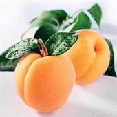 209 Farm Fresh Produce icon