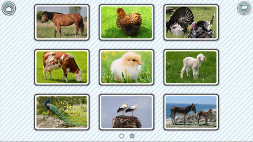 107 Animals - Free screenshot 2