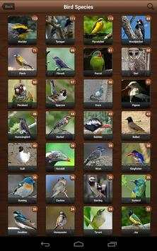 Bird Sounds, Calls, Songs & Ringtones screenshot 17