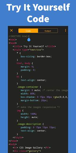 Learn CSS screenshot 4