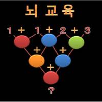뇌 교육