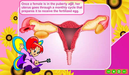 Menstrual Cycle скриншот 4