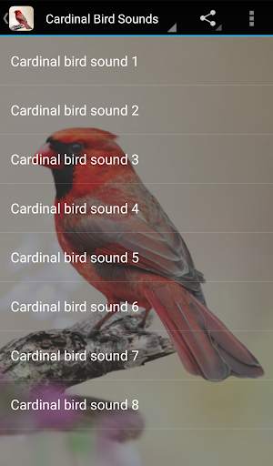 Cardinal Bird Sounds स्क्रीनशॉट 1