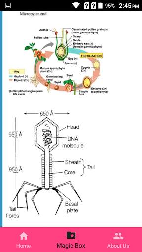 Mnemonic(Physics, Chem, Biology, Botany, Zoo, Med) screenshot 2