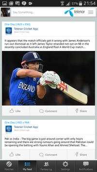 Telenor Cricket screenshot 6