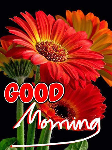 Good Morning Flowers Images GIF screenshot 4