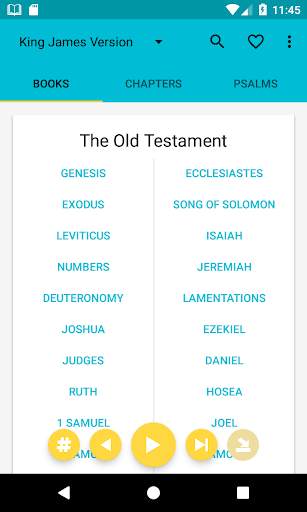 Audio Bible screenshot 1
