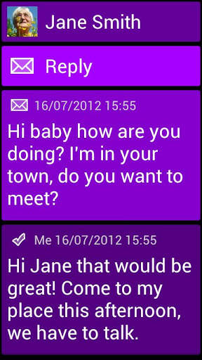 BL Violet Theme screenshot 3