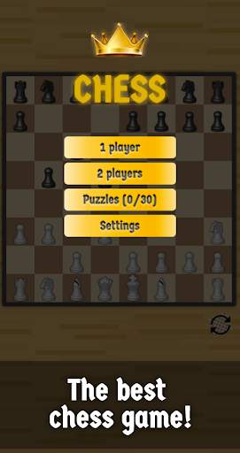 Chess for two players screenshot 1