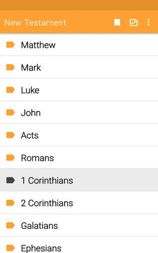 New Testament screenshot 18