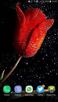HD Background Flower Wallpaper screenshot 15