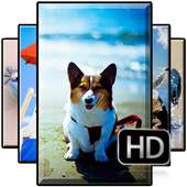 Animal Wallpaper Offline on 9Apps