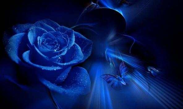 Blue roses wallpapers screenshot 1