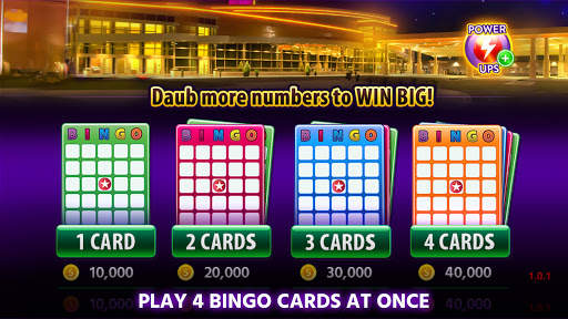 Lucky North Casino Games screenshot 8