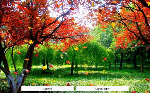 Autumn Live Wallpaper Free screenshot 7