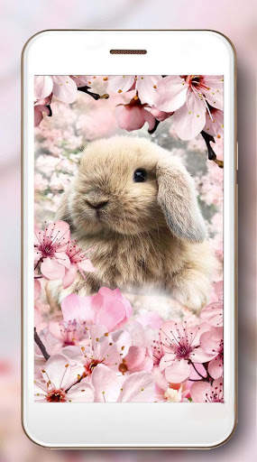 Bunnies Cute Live Wallpaper screenshot 4