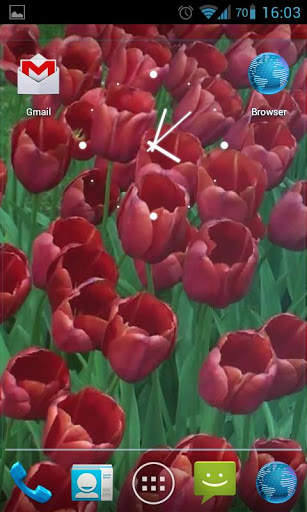 Red Tulips Live Wallpaper HD screenshot 3
